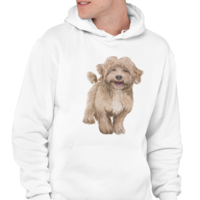 BLUZA Z KAPTUREM CAVAPOO